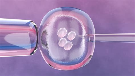 Ilustrácia hormonálnej stimulácie počas IVF
