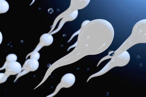 Mužské spermie pod mikroskopom