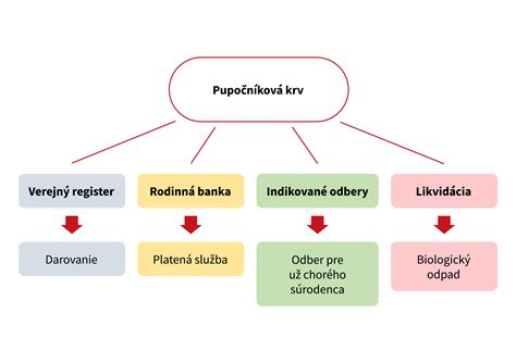 Schematické znázornenie odberu pupočníkovej krvi a tkaniva placenty