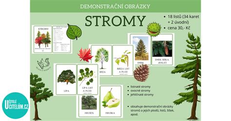 Obrázok stromu s rôznymi hodnotami ako listy
