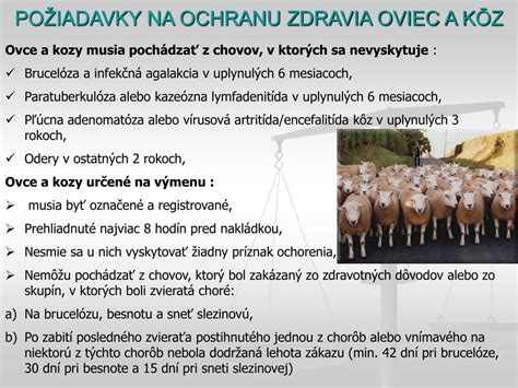 Infografika procesu registrácie chovu oviec a kôz
