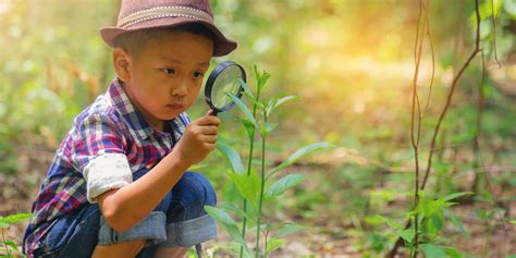 Detská zvedavosť a učenie