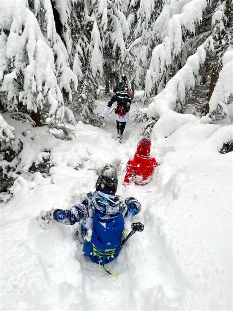 zimný kopec s deťmi na sánkach