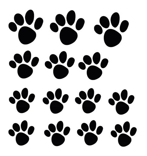 Odtlačok labky kuny skalnej