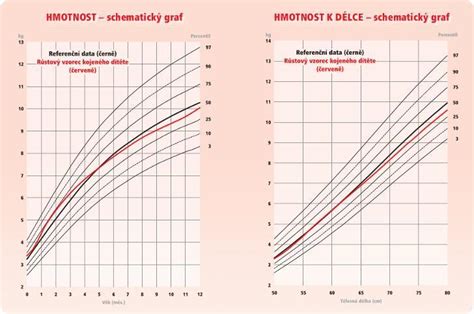 Ukážka rastového grafu pre hmotnosť dieťaťa