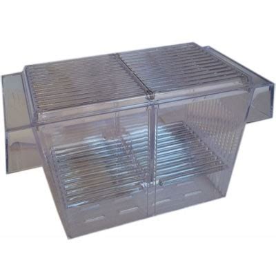 Pôrodnička pre živorodky