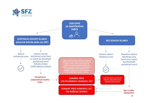 Schéma postupných krokov pri reprodukcii textu
