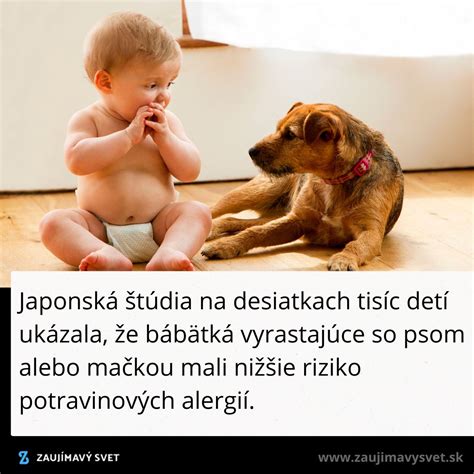 dieťa rozprávajúce sa so psom