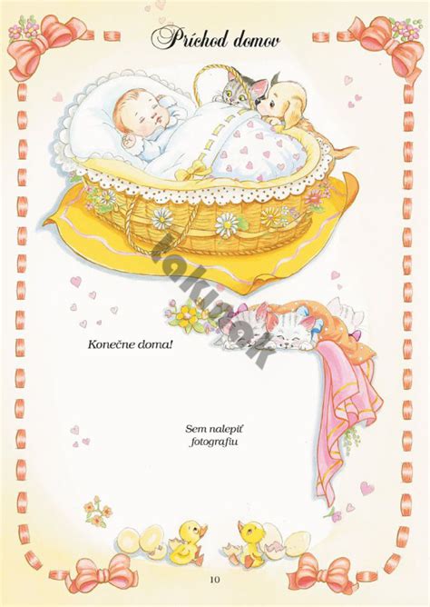 Ilustrácia obálky knihy 