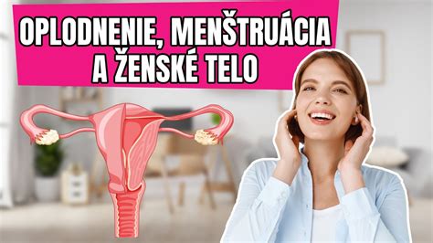 Grafika znázorňujúca ženský reprodukčný systém a proces ovulácie