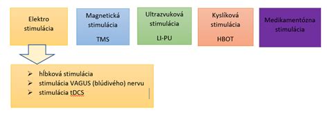 Schema mozgových buniek a ich spojení