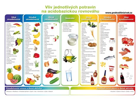 Infografika s potravinami bohatými na vápnik a jeho účinkami