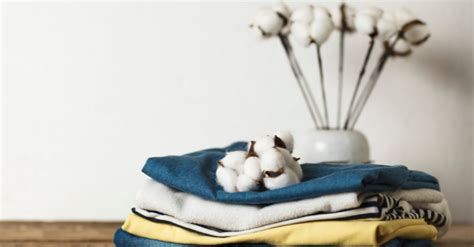 Proces pestovania a spracovania organickej bavlny