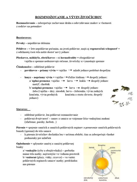 Porovnanie vajcorodých, vajcoživorodých a živorodých živočíchov
