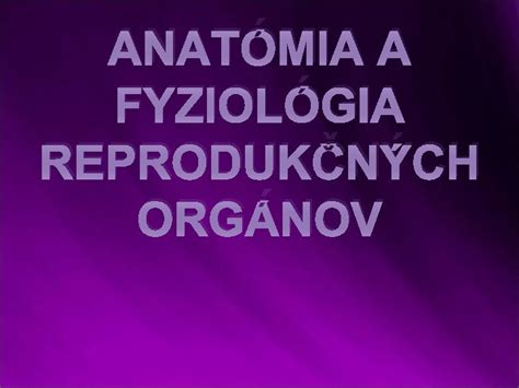 Anatómia mužských reprodukčných orgánov