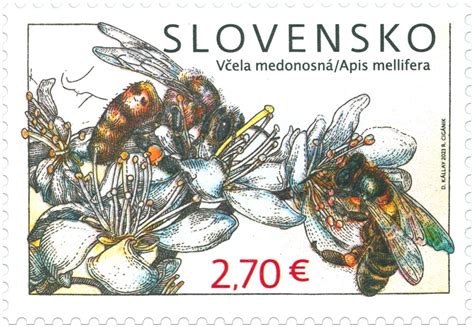 Ilustrácia svadobného letu včelej matky