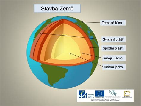 Schéma vaječníka s vyznačenými vrstvami