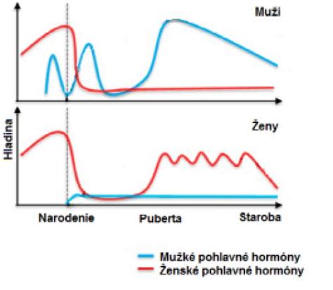 Grafické znázornenie ženského reprodukčného cyklu