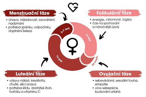 Infografika zobrazujúca reprodukčný cyklus ženy po potrate