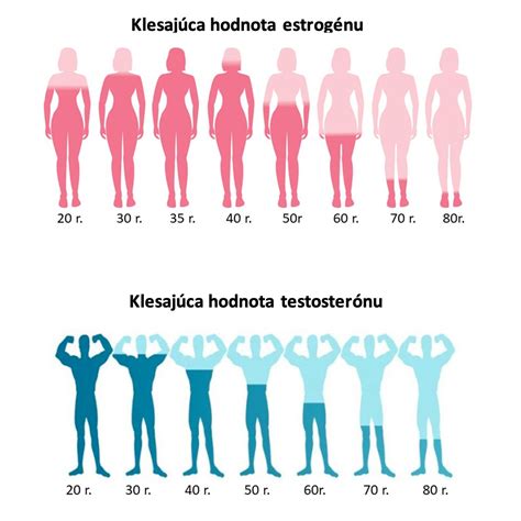 Schéma hormonálnej regulácie ovulácie