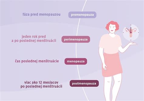 Ilustrácia štyroch fáz menštruačného cyklu
