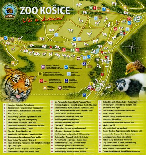 Zoologická záhrada Košice