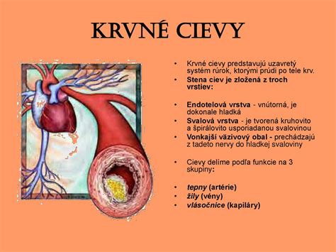Ilustrácia funkcie absorpčných vrstiev v plienke