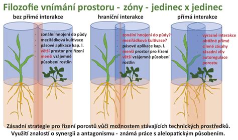 Schéma prenosu spermií