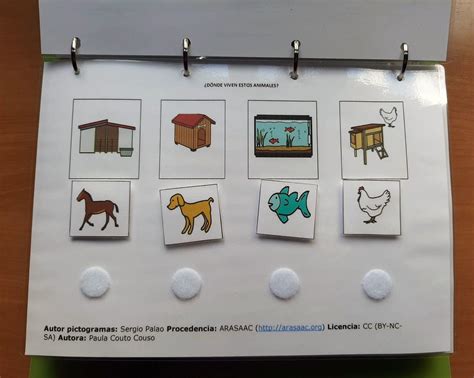 Štruktúra TEACCH programu