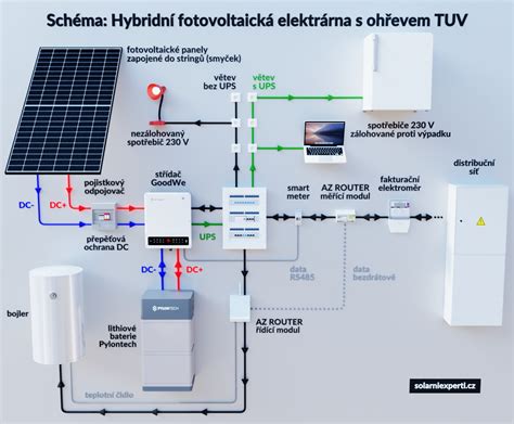 Schéma výmeny látok cez placentu