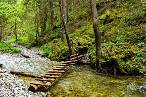 okolitá príroda Slovenského raja