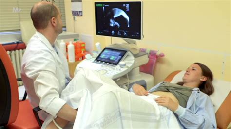 schéma ženského reprodukčného systému s vyznačením orgánov pre gynekologické vyšetrenie