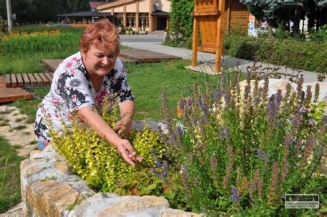 dvor detských jaslí s bylinkovou záhradkou