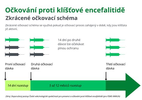 Schéma pôsobenia Inofolicu na plodnosť