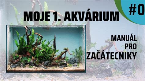 Akvárium s hustým rastlinstvom ako úkryt pre poter