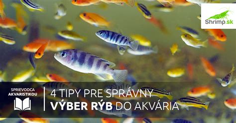 Rôzne druhy rýb vhodných do spoločenského akvária