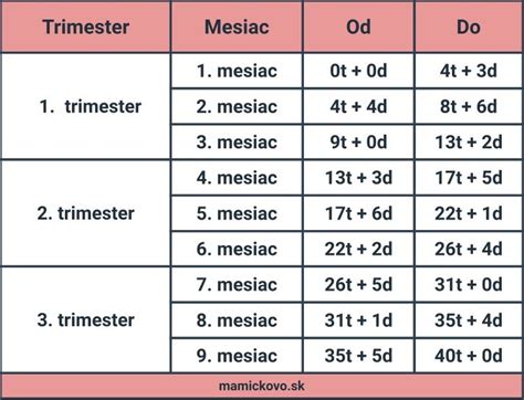 Grafika zobrazujúca priebeh tehotenstva a týždne