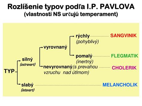 Rozlíšenie typov kašľa
