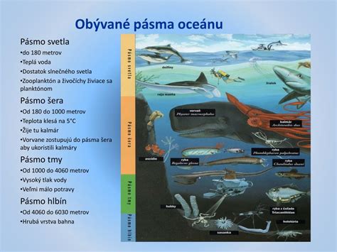 Mapa rozšírenia inváznych druhov v oceánoch