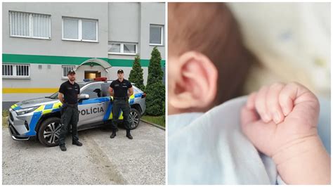 Ilustračná fotografia agresívneho prasaťa