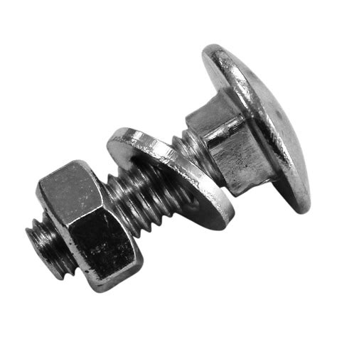 novonarodené mačiatko s matkou