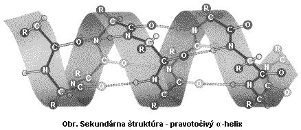 štruktúra bielkovín kravského mlieka