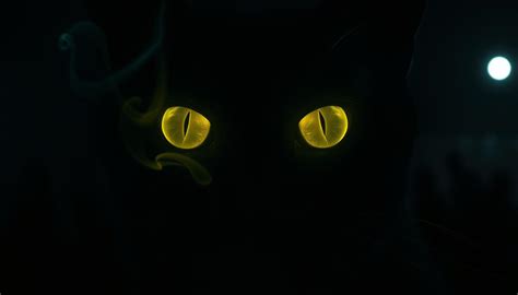 Oči mačky v tme