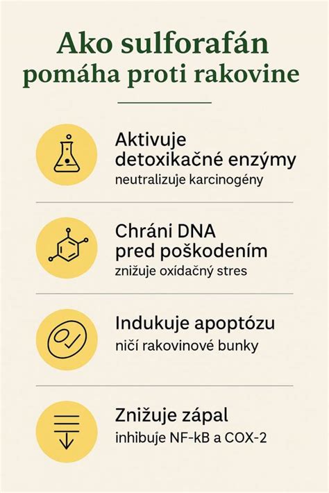 Infografika zobrazujúca štruktúru DNA a chromozómov
