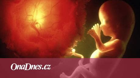 Schéma prenosu rakovinových buniek z matky na plod