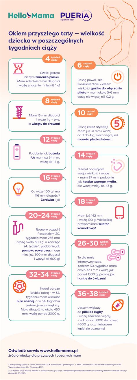 Infografika s prehľadom meraní plodu