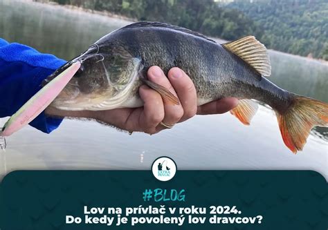 Rozdelenie rýb podľa pôvodu a vhodnosti pre deti