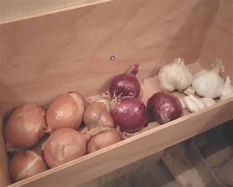 Cesnak a cibuľa v kuchyni