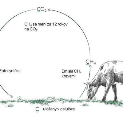 Graf ekonomických strát v chove dojného dobytka