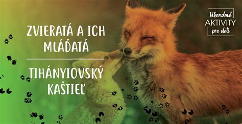 Vačkovce a ich mláďatá v materinskom vaku